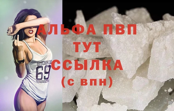 спиды Медвежьегорск