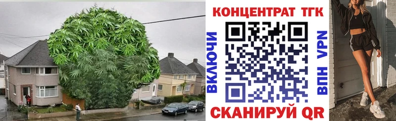 ТГК вейп  KRAKEN зеркало  Донской 