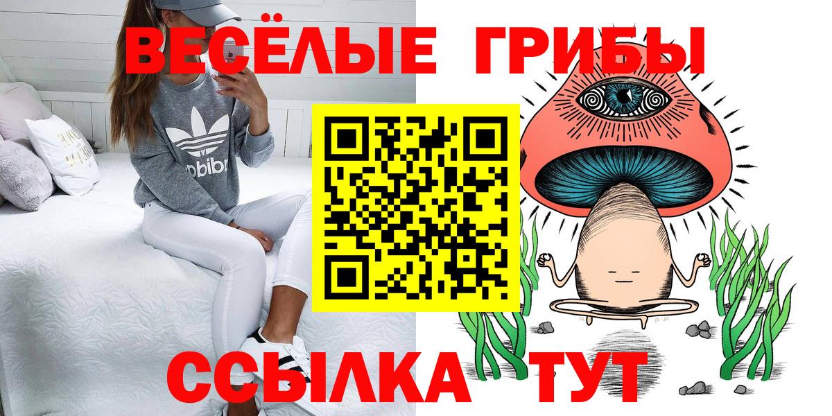 Донской  купить закладку  Вход с VPN  Псилоцибиновые грибы Psilocybe 