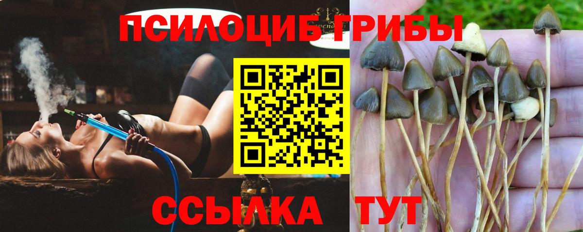 Галлюциногенные грибы прущие грибы Донской