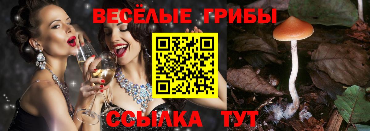 Галлюциногенные грибы мухоморы  Донской  Псилоцибиновые грибы ЛСД 